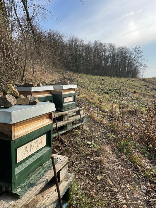 Bienenpatenschaft Honig Siebengebirge Geschenk Westerwald Umweltschutz Honigbiene Natur gesundes Geschenk Patenvolk Weihnachtsgeschenk