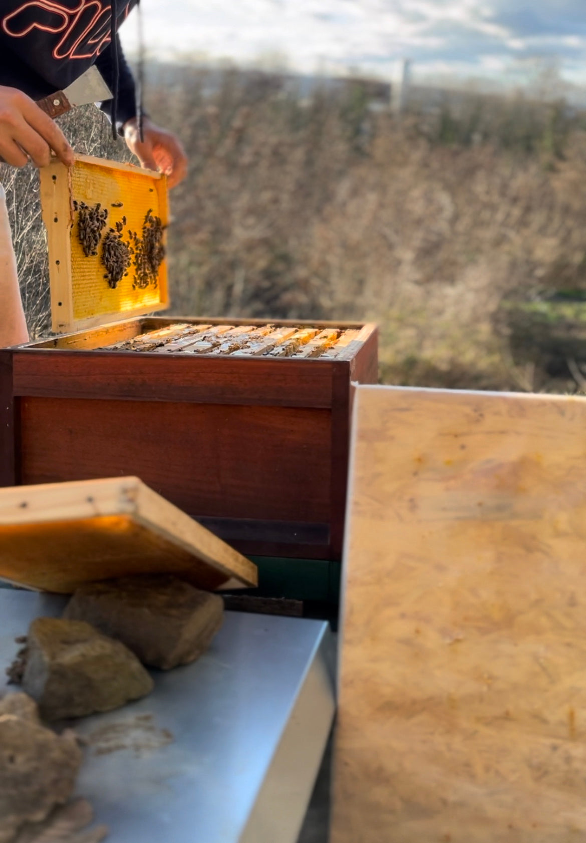 Bienenpatenschaft Honig Siebengebirge Geschenk Westerwald Umweltschutz Honigbiene Natur gesundes Geschenk Patenvolk Weihnachtsgeschenk